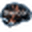 Braincoin BRAIN Braincoin BRAIN