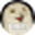 Orlycoin ORLY Orlycoin ORLY