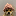 dogwifhat (ETH)
