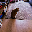 Ansem's Cat HOBBES Ansem's Cat HOBBES