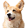 BNB DOG INU BNBDOG BNB DOG INU BNBDOG