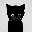 Bro the cat BRO Bro the cat BRO