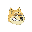 Dogeclub DOGC Dogeclub DOGC