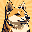 Hachiko HACHI Hachiko HACHI