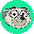NearKat KAT