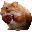 nomnom NOMNOM nomnom NOMNOM