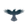 Raven Protocol RAVEN