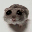 SAD HAMSTER HAMMY SAD HAMSTER HAMMY