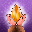 SEED SEED SEED SEED