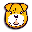 Shar Pei (PUPPY) PUPPY Shar Pei (PUPPY) PUPPY