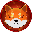 Shiba SHIBA Shiba SHIBA