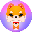 SHIBONE INU SHIBONE SHIBONE INU SHIBONE