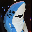 shork SHORK shork SHORK