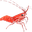 Shrimp Finance SHRIMP Shrimp Finance SHRIMP
