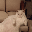 SofaCat SOFAC SofaCat SOFAC