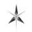 Xplosive Ethereum XETH