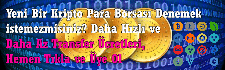 30000000 SHIB Kaç TL Eder, 30000000 SHIBA INU Türk Lirası Karşılığı Nedir